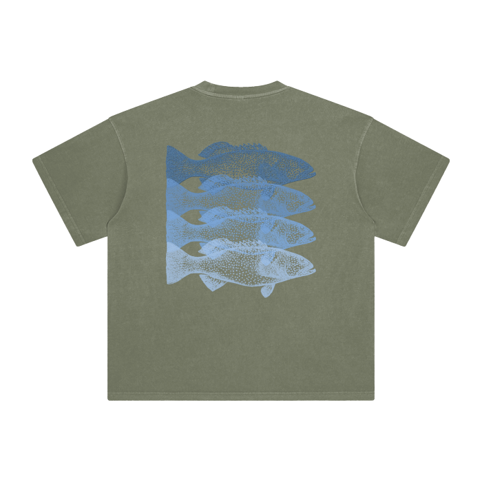 jude,shirt,abrolhos