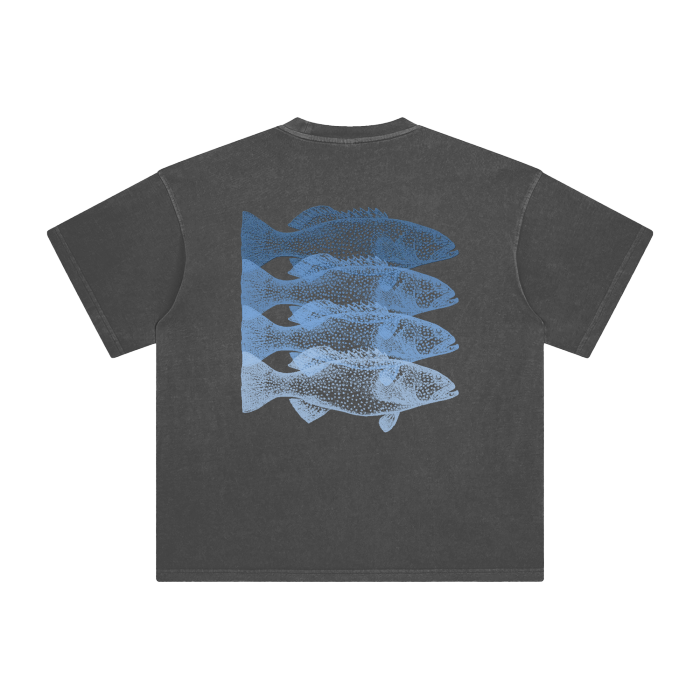 jude,shirt,abrolhos