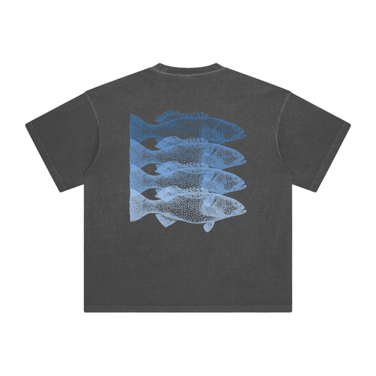 jude,shirt,abrolhos
